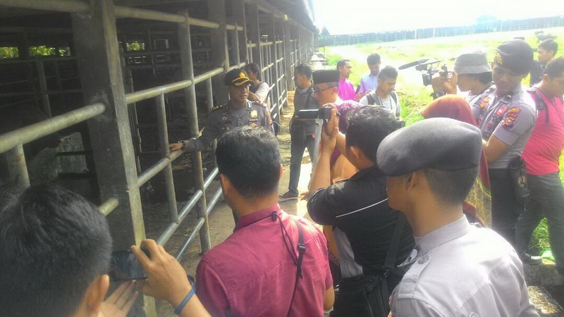 Daging Segar di RTH Aman dan Higienis